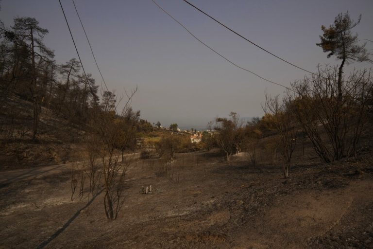 Α. Βουλγαράκης στο Πρώτο: Ο συνδυασμός της εγκατάλειψης της γεωργίας με τη κλιματική αλλαγή προκαλεί τις φωτιές (audio)