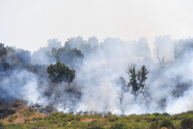 Πυρκαγιές στην Ιταλία: Στους 6 ανεβαίνει ο αριθμός των θυμάτων – Πρόταση βουλευτών για παύση της κυνηγετικής σεζόν