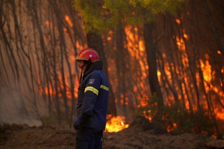 WWF Ελλάς: Οι δέκα προτάσεις για την «επόμενη ημέρα» μετά τις σαρωτικές πυρκαγιές