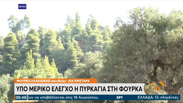Υπό μερικό έλεγχο οι πυρκαγιές στη Χαλκιδική (video)