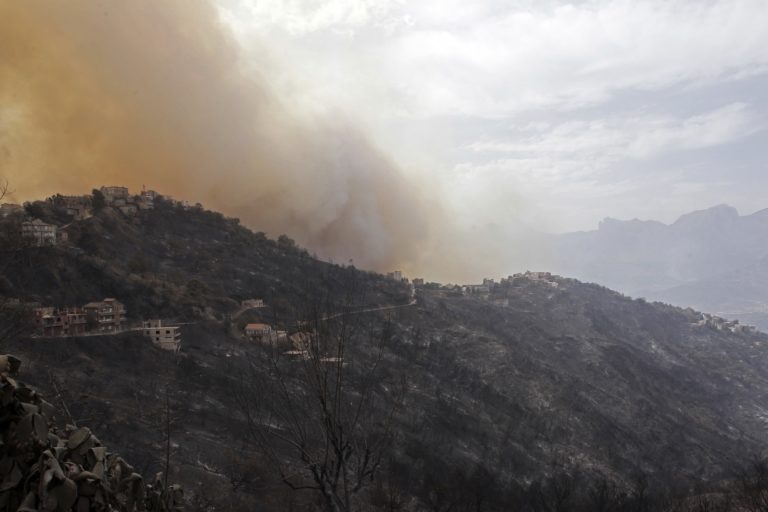 Αλγερία: Νεκροί 25 άνδρες του στρατού σε πυρκαγιές στον βορρά