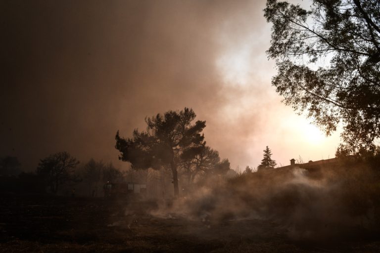 Δραματική έκκληση του δημάρχου Αχαρνών στο Πρώτο: Ανεξέλεγκτη η φωτιά, θα καεί όλη η Πάρνηθα – Στείλτε εναέρια μέσα στο Κατσιμίδι (audio)