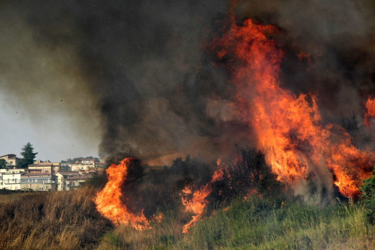 Καλαβρία: Ο φωτογράφος Steve McCurry θα απαθανατίσει τις πληγές από τις πυρκαγιές