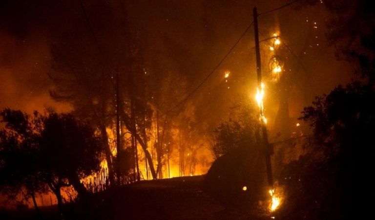 Στο πλευρό των πυρόπληκτων το Εργατικό Κέντρο Ιωαννίνων