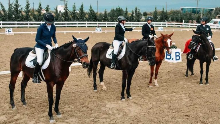 Η ανακοίνωση της Ελληνικής Ομοσπονδίας Ιππασίας για την επόμενη ημέρα από τη μεγάλη πυρκαγιά στην Βαρυμπόμπη
