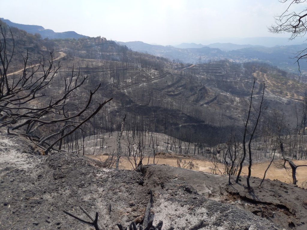 Επί ποδός υπό την «απειλή» πλημμυρών σε πληγείσες από τις πυρκαγιές περιοχές