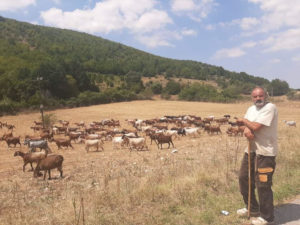 Κοζάνη: Πυρκαγιά και χαλάζι έπληξαν την πατατοπαραγωγή και την κτηνοτροφία