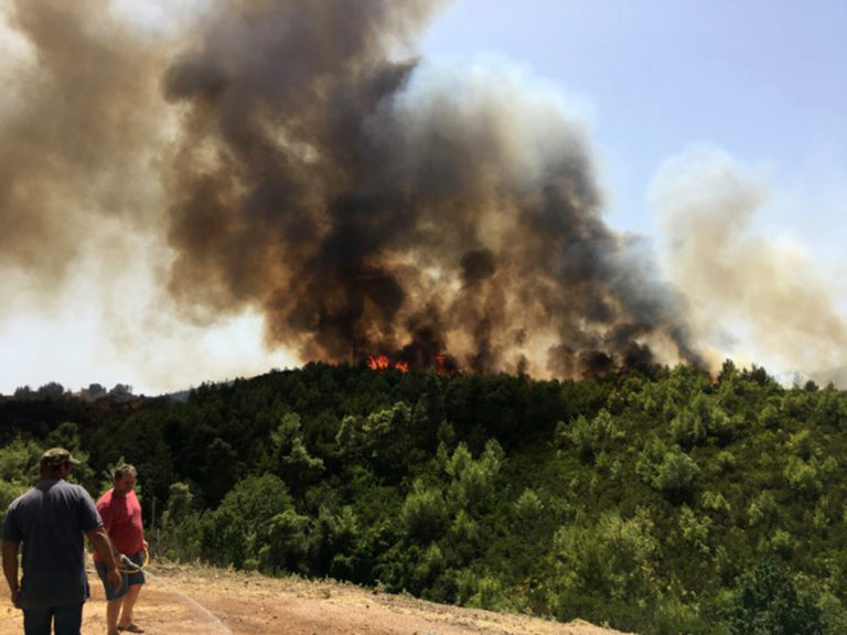 Αναζωπύρωση στην Αρκαδία — Εκκενώθηκαν 21 οικισμοί και ενισχύονται οι δυνάμεις