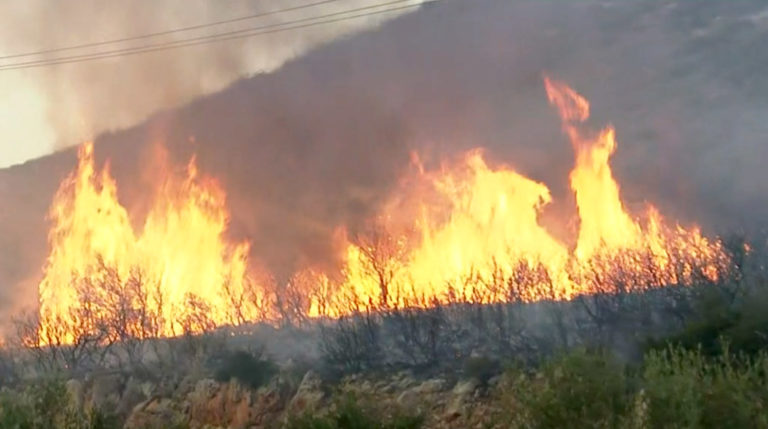 Κίνδυνος πυρκαγιάς σε επίπεδο συναγερμού σε Χανιά και Ρέθυμνο και πολύ υψηλού κινδύνου σε Ηράκλειο και Λασίθι (ηχητικό)