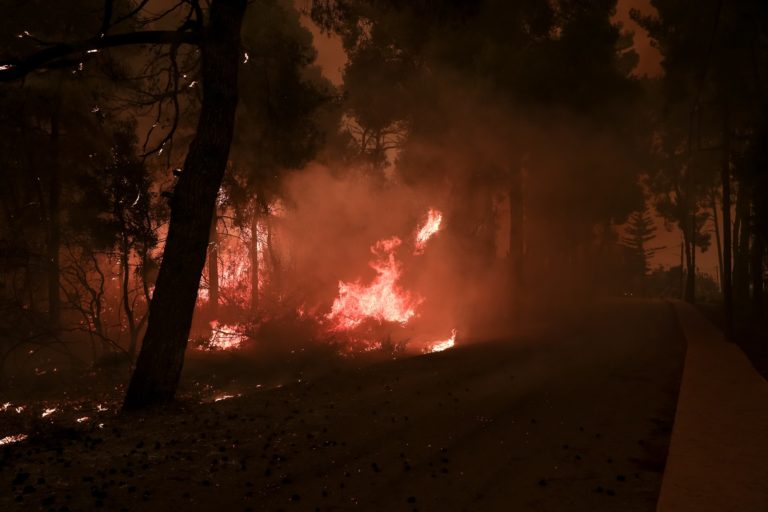 Ν. Χαρδαλιάς για Εύβοια: Το βράδυ μπροστά μας θα είναι δύσκολο (video)