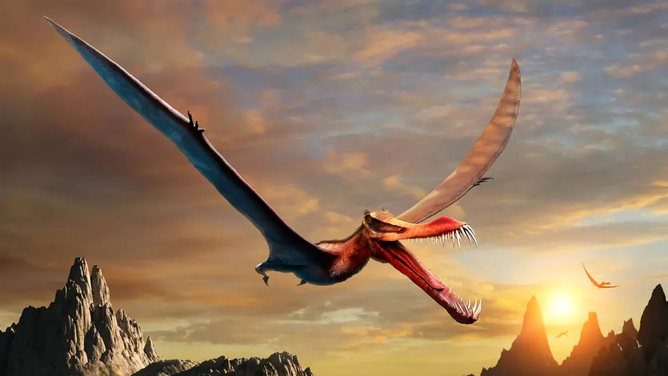 Αυστραλία: Ανακαλύφθηκε απολίθωμα πτερόσαυρου που έμοιαζε με «δράκο»