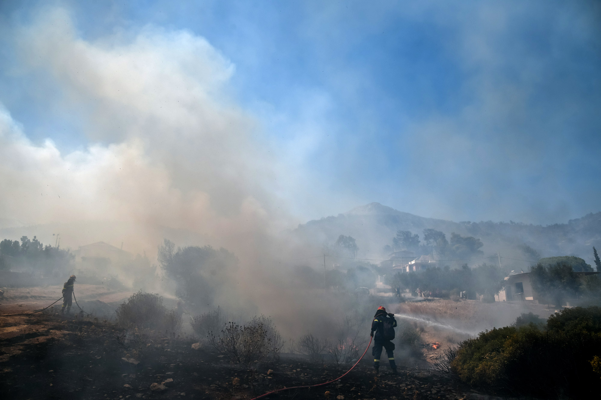 Καλαμάτα: Φωτιά έκαψε 10 στρέμματα στο Αριοχώρι