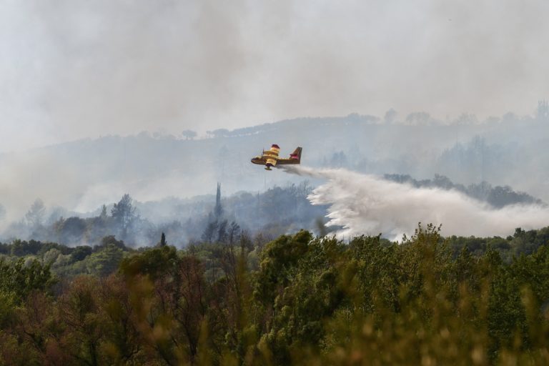 Πυροσβεστική: 63 δασικές πυρκαγιές το τελευταίο 24ωρο