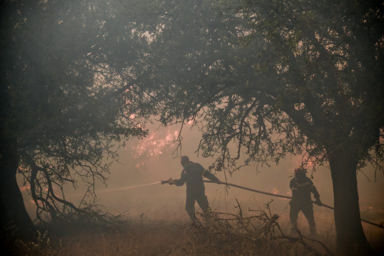 Μεσσηνία: Φωτιά στους Χράνους – Άμεση επέμβαση της πυροσβεστικής