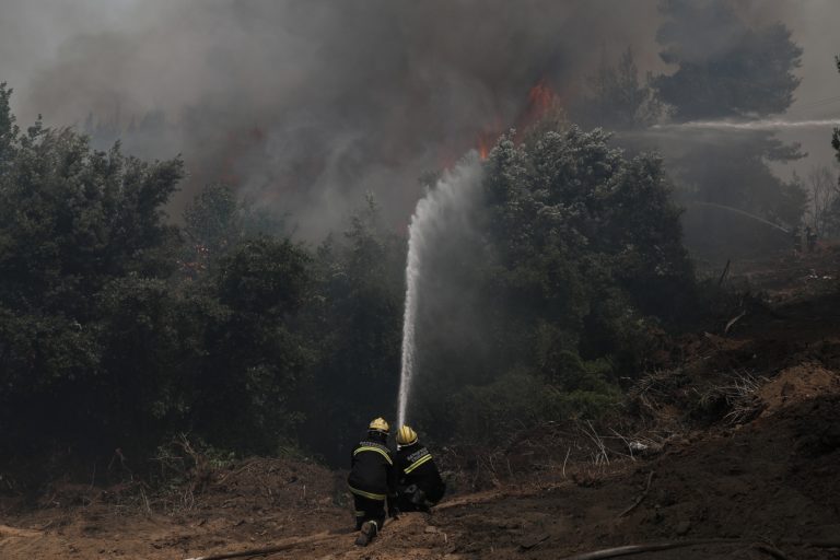 Βοιωτία: Φωτιά στην Τανάγρα σε περιοχή των Δερβενοχωρίων