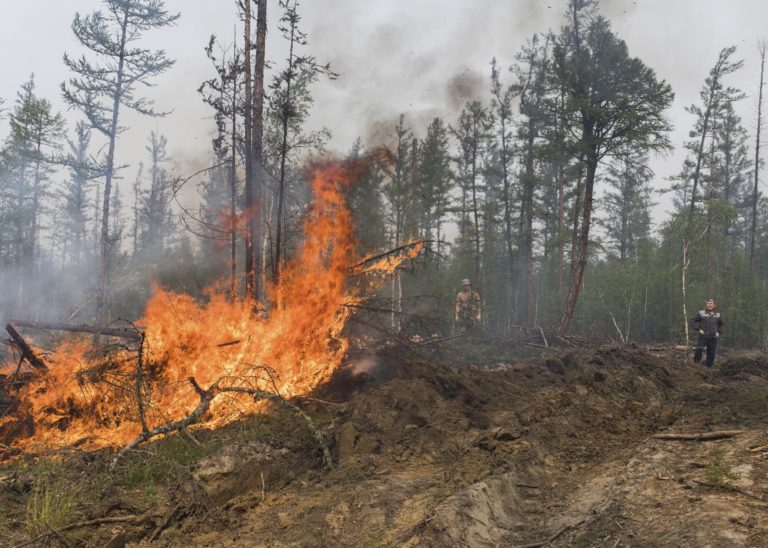Ρωσία: Πάνω από ένα δισ. τετραγωνικά μέτρα δάσους έγιναν στάχτη (video)