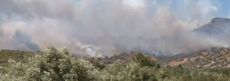 Β. Κόκκαλης: Αγωνία να μην περάσει η φωτιά στον Εθνικό Δρυμό Σουνίου (video)