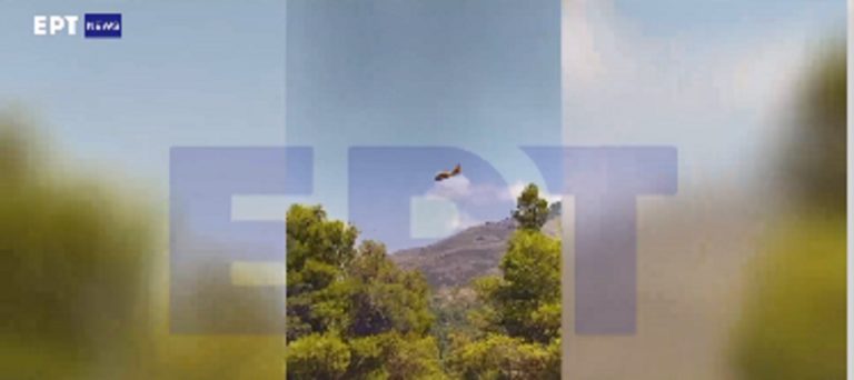 Οριοθετήθηκε η πυρκαγιά στον Μίστρο Ευβοίας – Αποκλειστικά πλάνα της ΕΡΤ (video)