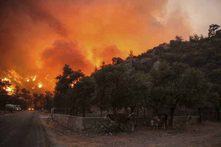 Τουρκία: Σενάρια ανασχηματισμού ξεπηδούν από τις πυρκαγιές που καίνε τη χώρα (video)