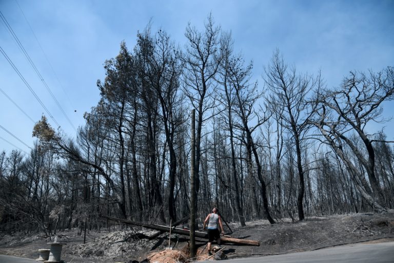 Συγκινητικές ανθρώπινες ιστορίες στις πυρόπληκτες περιοχές της Αττικής (video)