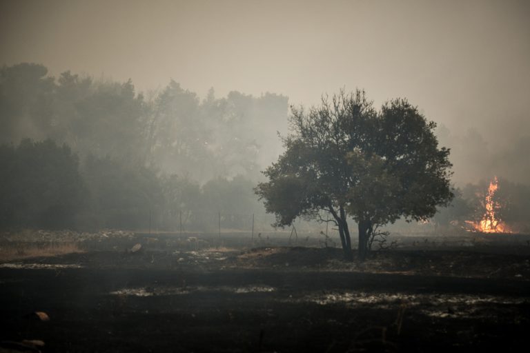 Αντιπεριφερειάρχης Πολιτικής Προστασίας Αττικής στο Πρώτο: Σαφώς βελτιωμένη η εικόνα από τη φωτιά στα Βίλια (audio)