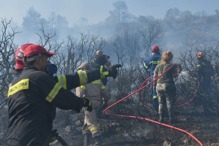 Α. Δημητρακόπουλος στο Πρώτο: Το 99% των δασικών πυρκαγιών στην Ελλάδα οφείλονται στον άνθρωπο – Μύθος τα περί αυτανάφελξης  (audio)