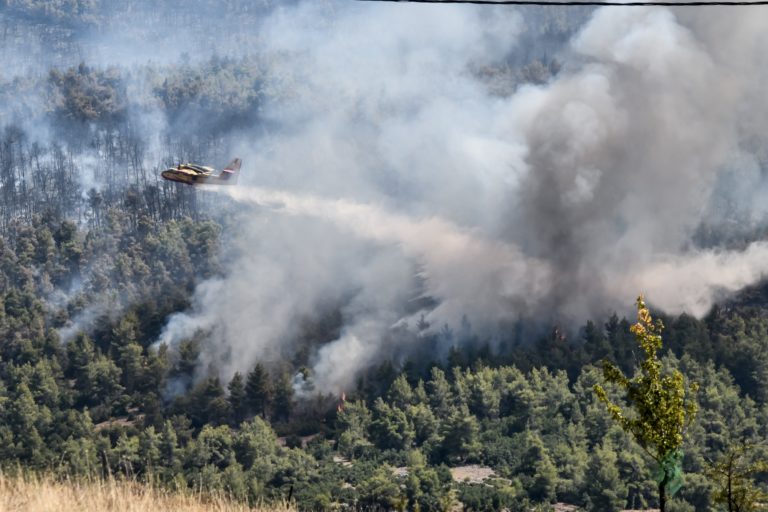 Βίλια: Ενεργό μόνο το μέτωπο στα νότια του όρους Πατέρα – Δεν απειλούνται οικισμοί