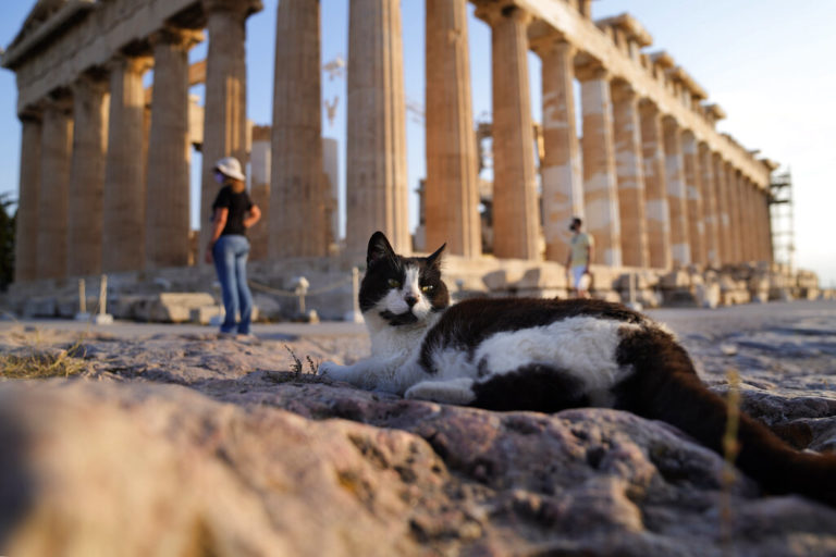 Προτάσεις για ειδικό ωράριο λόγω καύσωνα στους αρχαιολογικούς χώρους από την ΠΕΥΦΑ