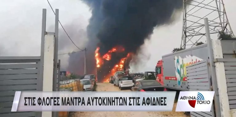 Καίγεται μάντρα αυτοκινήτων στις Αφίδνες – Κίνδυνος από τον τοξικό καπνό (video)