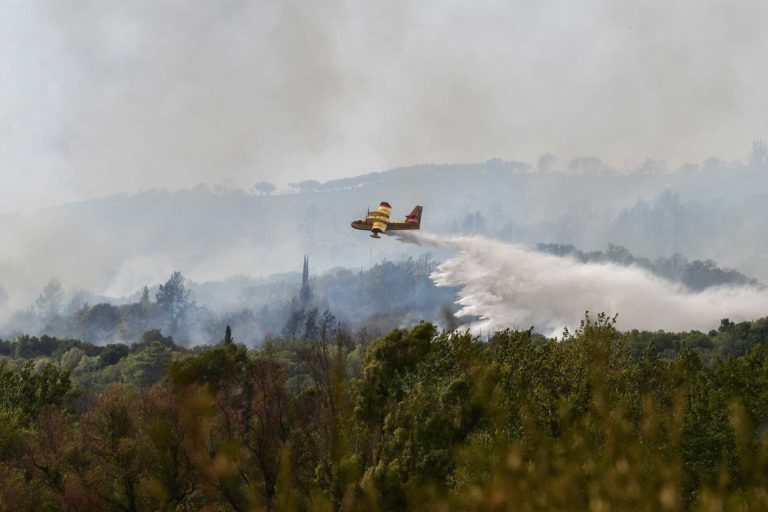 Φωτιά στη Μάνδρα, σε δασική περιοχή – Μεγάλη επιχείρηση της Πυροσβεστικής