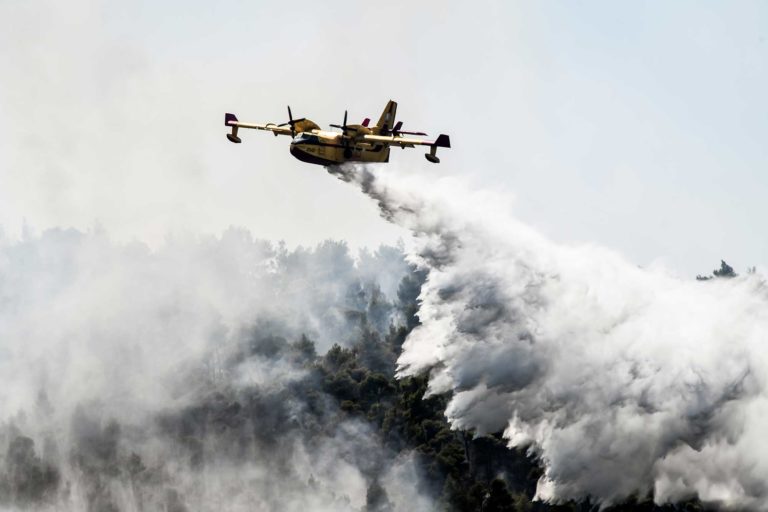 Βίλια: Ανεξέλεγκτα τα πύρινα μέτωπα στο όρος Πατέρα – 80.000 στρέμματα στάχτη μέχρι τώρα