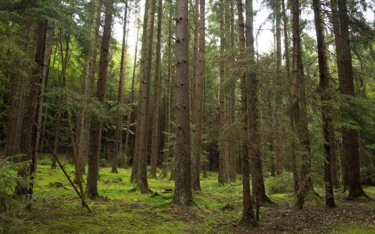 Νέα διαβούλευση για τις περιοχές Natura στο περιβαλλοντικό νομοσχέδιο