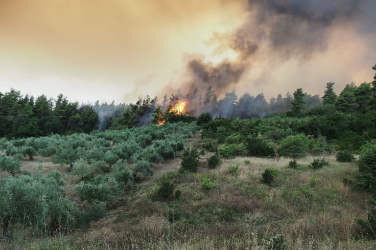 Αντιπεριφερειάρχης Εύβοιας στο Πρώτο: Έχουμε αναζωπυρώσεις σε σημεία που είχαν ελεγχθεί  (audio)