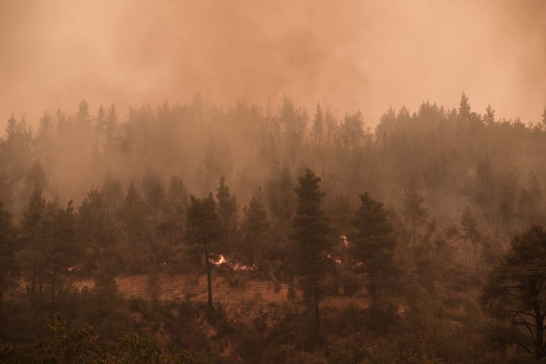 Μάχη με τις αναζωπυρώσεις μεταξύ Γαλατσώνας και Αβγαρίας (Live)