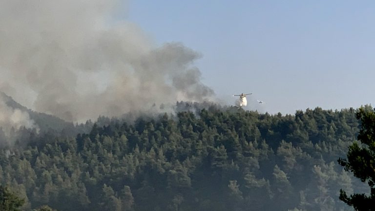 Αντιπεριφερειάρχης Εύβοιας στο Πρώτο: Χρειαζόμαστε ενισχύσεις προς Μαντούδι (audio)