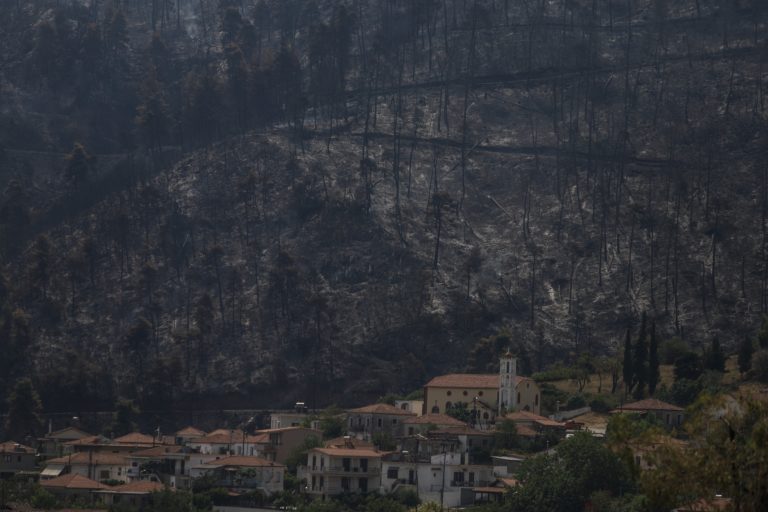 Κομοτηνή- Β. Λιάσκος: Τροφή για μέλισσες και ζωικό κεφάλαιο χρειάζονται μελισσοκόμοι και κτηνοτρόφοι στην Εύβοια