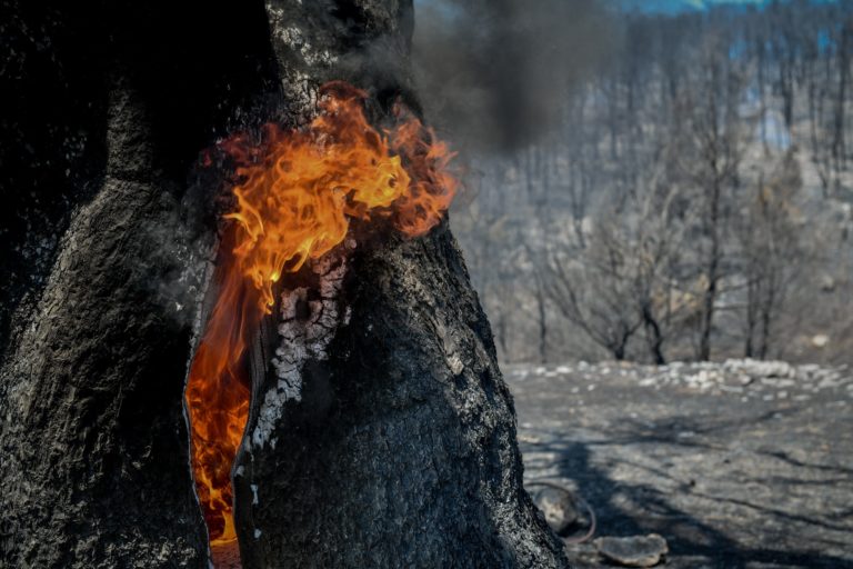 Β. Αττική: Βελτιωμένη η κατάσταση των πυρκαγιών – Αντιμετωπίστηκε αναζωπύρωση στην Πάρνηθα (video)