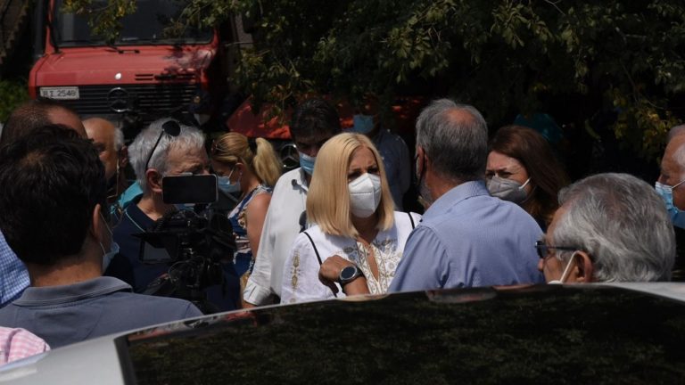 Φ. Γεννηματά από τη Γορτυνία: “Μπορεί να φυτρώσει η ελπίδα στα καμένα”