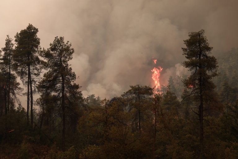 Πολύ υψηλός κίνδυνος πυρκαγιάς σε Εύβοια, Αττική, Ηλεία και άλλες 5 περιφέρειες