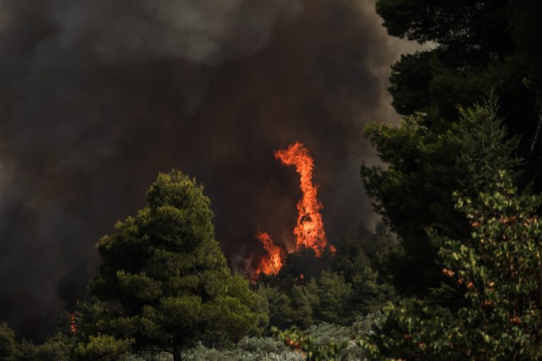 Πυρκαγιές από κεραυνούς στη Χαλκιδική