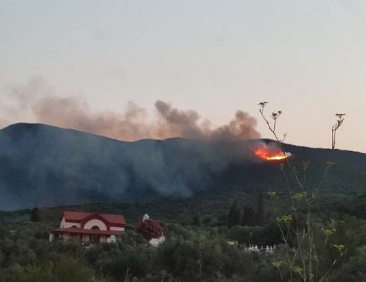 Μεσσηνία: Κινητοποίηση της Πυροσβεστικής για αναζωπύρωση στη φωτιά του Μαγκλαβά