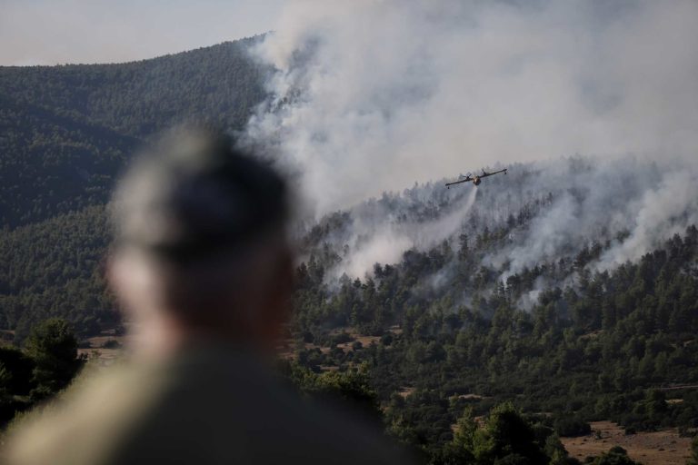 Α. Σκρέκας, εκπρόσωπος ΕΛΑΣ: 164 προσαγωγές και 21 συλλήψεις σε μία εβδομάδα για πρόκληση πυρκαγιών