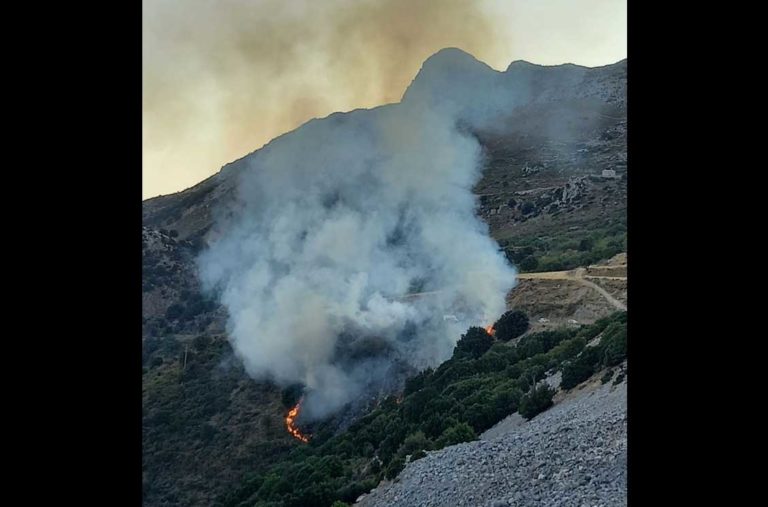 Κρήτη: Κινητοποίηση για φωτιά σε περιοχή του Λασιθίου