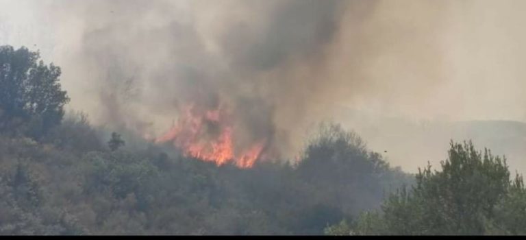 Σε επιφυλακή οι πυροσβεστικές δυνάμεις στην Βόρειο Ελλάδα