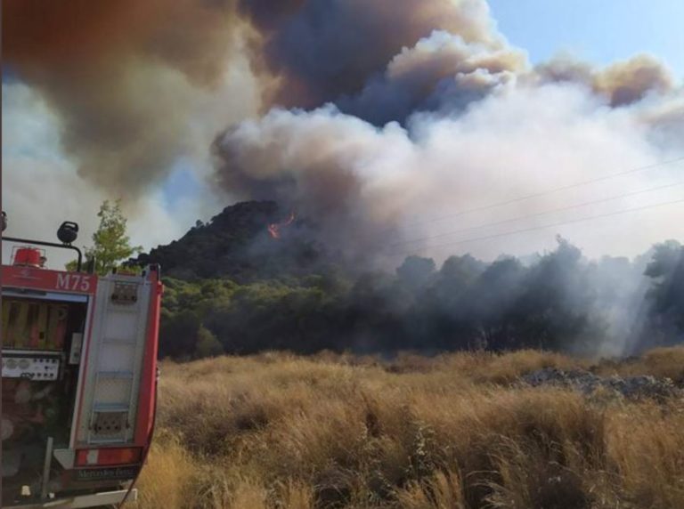 Φωτιά σε δύσβατη περιοχή στην Ηλεία – Eπιχειρούν επίγειες δυνάμεις (video)