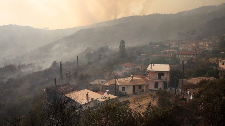 Οριζόντια μέτρα για τις πυρόπληκτες περιοχές της Πελοποννήσου ζητά η ΓΣΕΒΕΕ