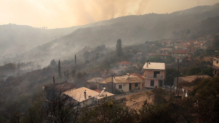 Ίδρυμα “Μαρία Τσάκος”: Χρηματοδότηση μελέτης αναδάσωσης της Αρχαίας Ολυμπίας