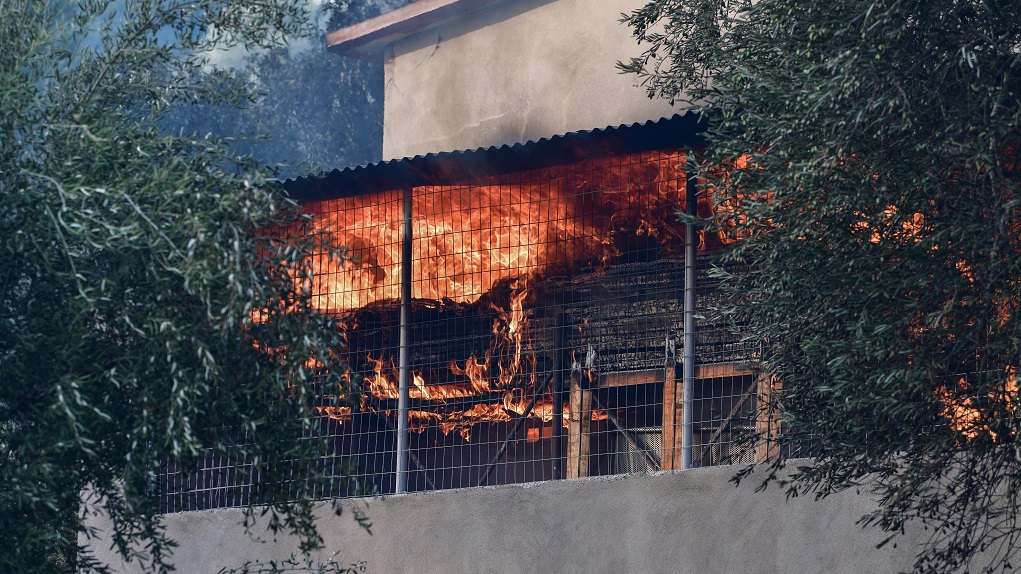 Στα 30 εκ. ευρώ η δαπάνη από τις καταστροφές που προκάλεσαν οι πυρκαγιές στην Περιφέρεια Πελοποννήσου