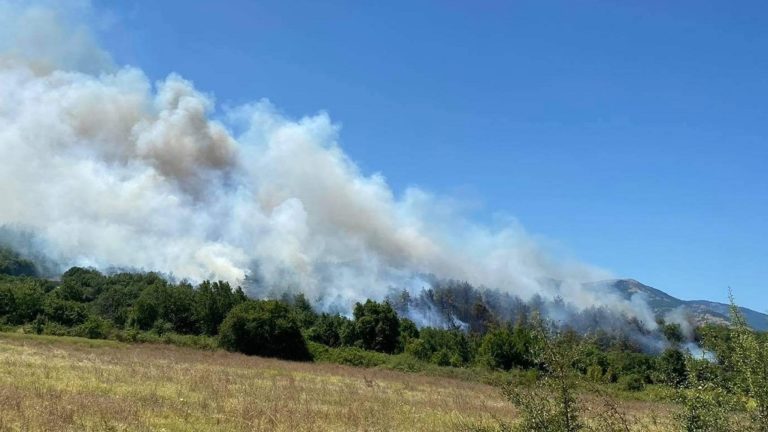 Υπό έλεγχο οι πυρκαγιές κοντά στην Κάρυστο και στο Ηράκλειο (video)