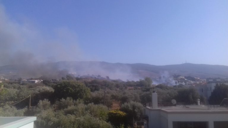 Πυρκαγιά σε χορτολιβαδική έκταση στο Παραδείσι της Κω (βίντεο)